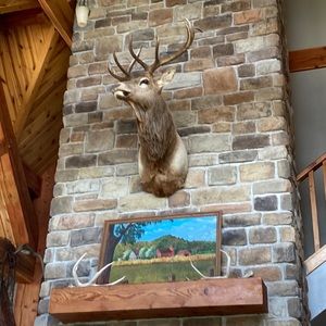 Meet your Posher, Nivea